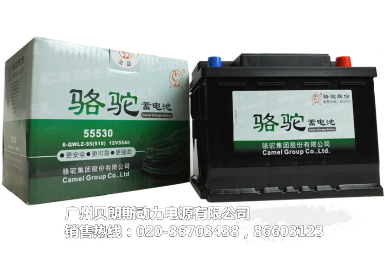 늳55530,12V60AH